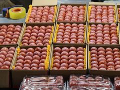 -鑫朱雀农贸批发市场