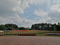 -保利石象湖景区