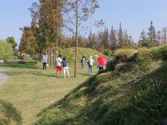 -前小桔亲子创意农场·草莓采摘·露营烧烤