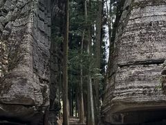 -梭布垭石林景区