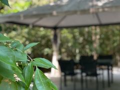 -唐廊烤鸭店(工体店)