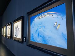 -罗红摄影艺术馆