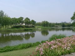 -SMP滑板公园