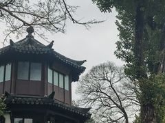 -拙政园