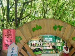 -天目湖山水园
