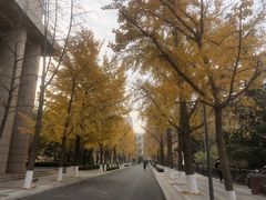 -北京化工大学(东校区)