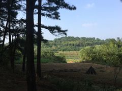 -梁子岛生态旅游区