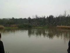 景点-白鹭湾湿地公园