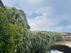 -府河摄影公园