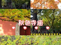 -回龙观体育文化公园