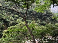 -太鲁阁公园