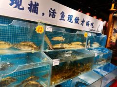 -胖姐渔村(中源大道店)