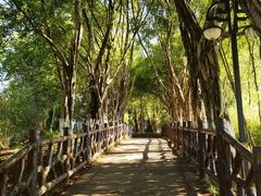 -丰都鬼城名山景区