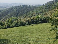 -敬亭山风景名胜区