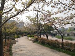 -新江湾城公园