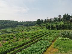 -乌石村