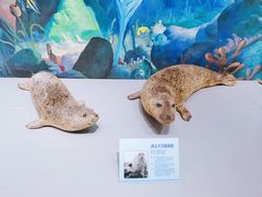 -大连自然博物馆