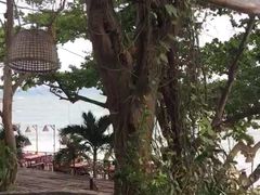 -卷心菜和避孕套餐厅(Pattaya)