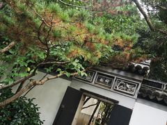 -秋霞圃