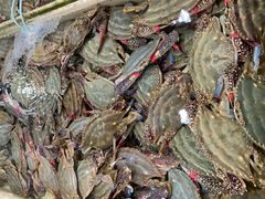 -恒达综合农贸市场(黄山路店)