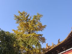 -南京市江宁方山