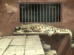 -青藏高原野生动物园