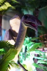 -恐龙探索乐园(磁器口店)