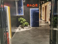 -黑松白鹿(金融街店)