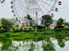 -洋湖国家湿地公园