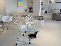 -怪兽屋·羊驼·猫咖·狗咖(俊华广场店)