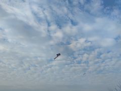 -苏州太湖湖滨国家湿地公园