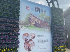 -金山农民画村-枫泾波兰倒置屋