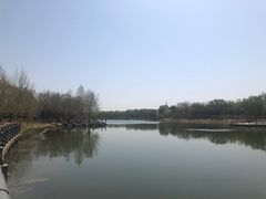 -大兴滨河森林公园