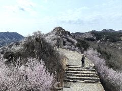 -龙泉峪长城