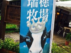 -瑞穗牧场
