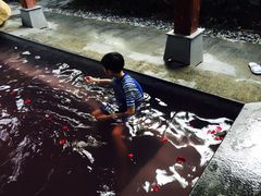 -天目湖御水温泉·度假酒店