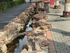 -特克斯八卦城