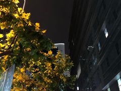 -全家便利店(梅园路店)