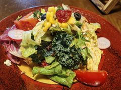 田园时蔬沙拉-布拉格餐厅· 中欧捷克菜(全国首店)