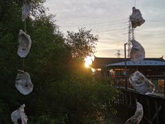 -崖口红树林海鲜餐厅