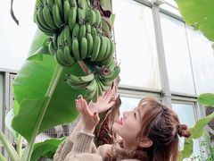 -呀路古热带植物园