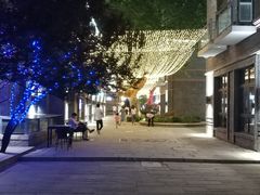 -绿地·中山里