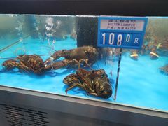 -麦德龙(郑东店)