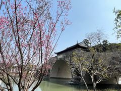 -广富林郊野公园
