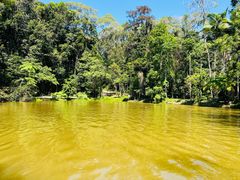 -热带雨林自然公园