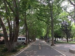 -曲阜师范大学(曲阜校区)