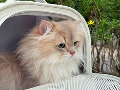 -上海无线电博物馆