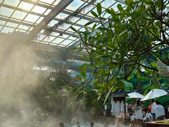 -观唐（国际）度假村温泉