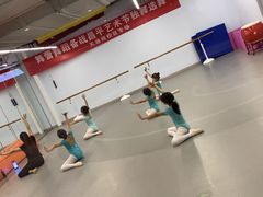 -舞蕾舞蹈·专注中国舞18年(天通苑中心校区)