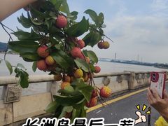 -长洲岛